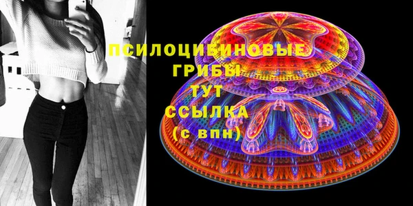 стаф Алексеевка