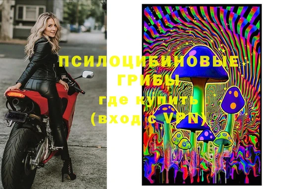 стаф Алексеевка