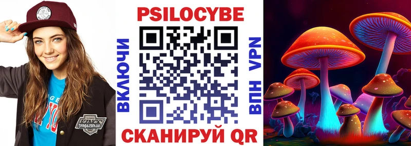 Псилоцибиновые грибы Cubensis  Певек 